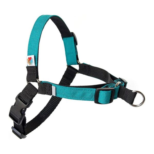 Turquoise Solid Dog Harness with No-Pull Design and Adjustable Straps for a Snug Fit