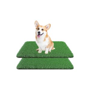 Two-Pack Fake Grass for Dogs with Soft and Dense Grass Silk and High-Quality PE Material