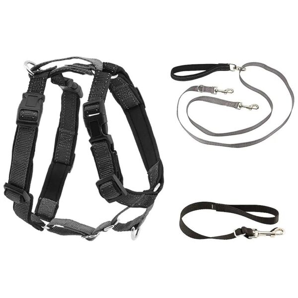 Two-Point Control Leash Harness for Small Dogs with Adjustable Straps