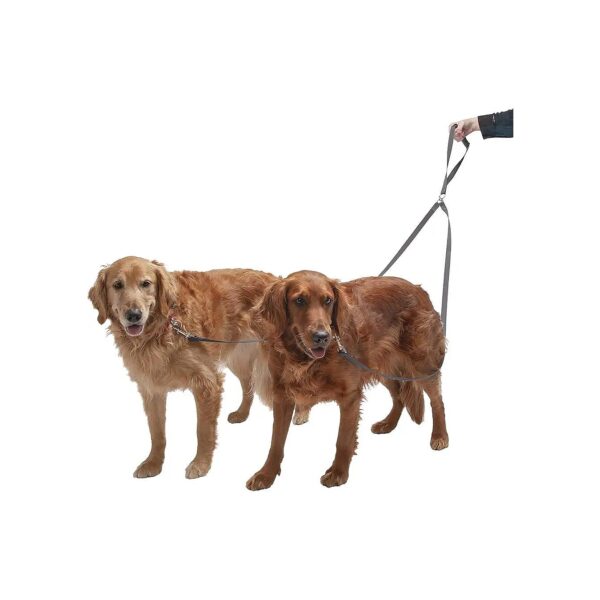 Two-Tails Dual Dog Leash with Metal Swivel for Single or Multiple Pet Walking Demands