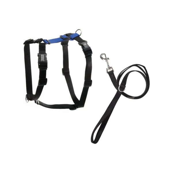 USA-Made Dog Balance Harness and Leash for Loose Leash Walking in Medium Blue