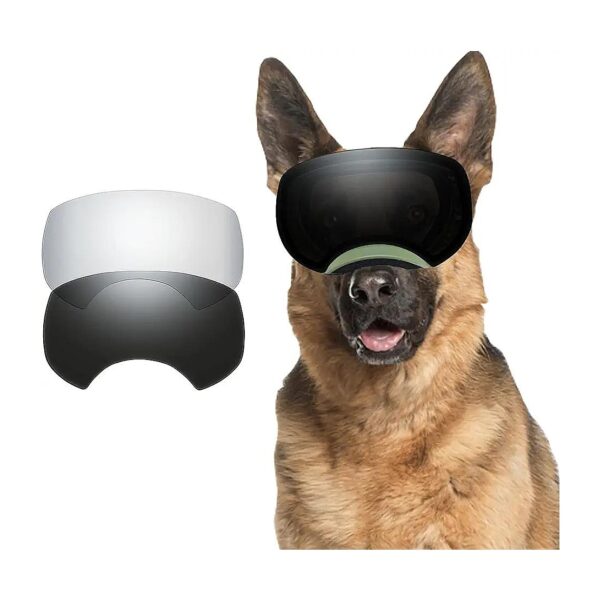 UV-Resistant and Anti-Glare Dog Sunglasses for Medium to Large Dogs