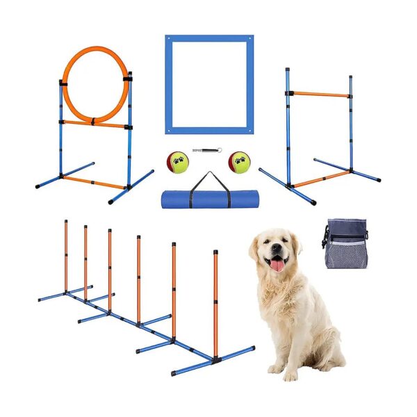 Ultimate Dog Agility Starter Kit With Adjustable Jump Hurdle And Treat Pouch