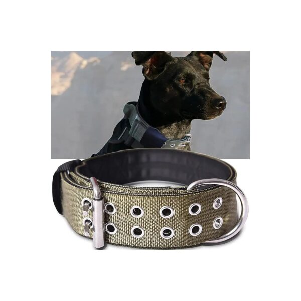 Ultimate Strength 1/3 Inch Thick Nylon Collar for Extra Large Breed Dogs