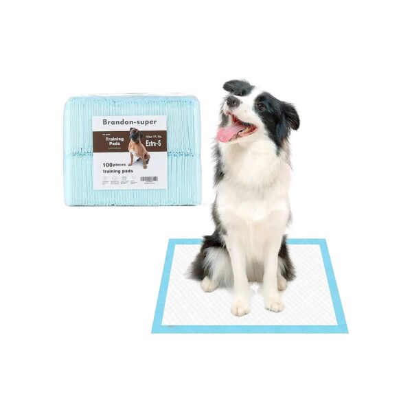 Ultra Absorbent Dog Training Pads for Housebreaking Pets