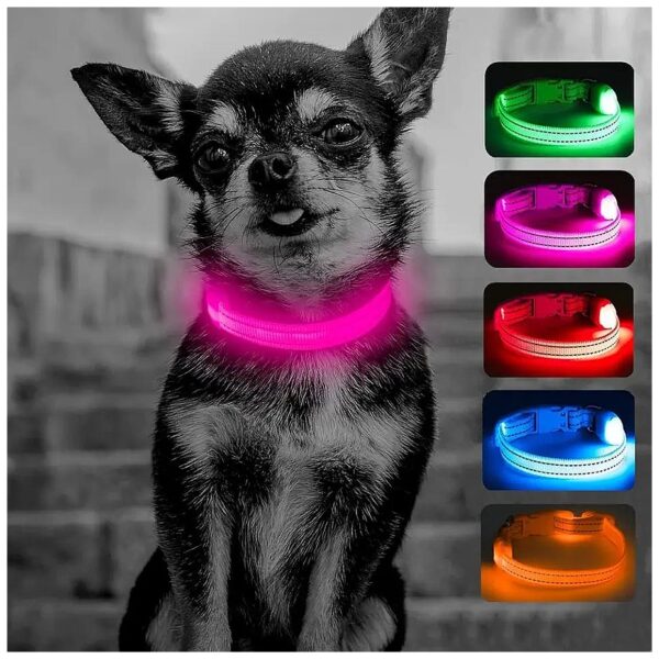 Ultra Bright LED Dog Collar for Small Dogs X-Small Pink USB Rechargeable