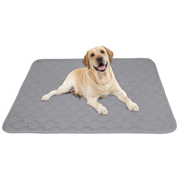 Ultra-Absorbent Reusable Dog Pee Pads for Large Dogs and Cats, 36'' x 60'