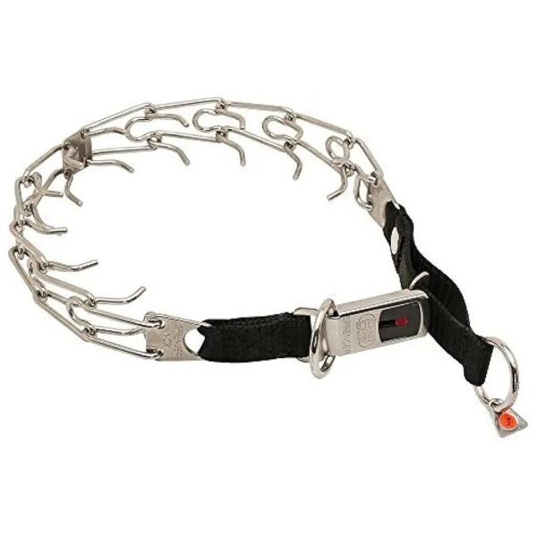 Ultra-Plus Prong Collar for Labradors with Stainless Steel Construction and Nylon Loop