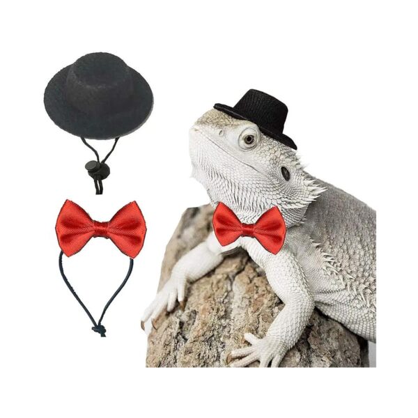 Unique Bearded Dragon Costume Hats for Easter, Thanksgiving, and Other Holidays