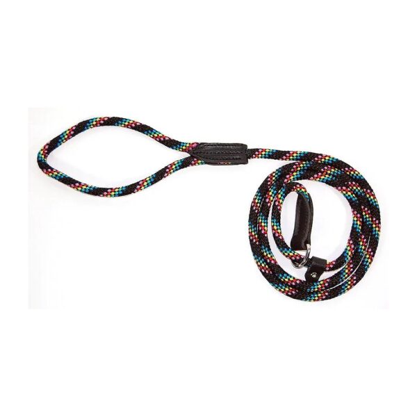 Unique Green Braid Pattern Confetti Black Nylon Dog Collar and Leash Combo