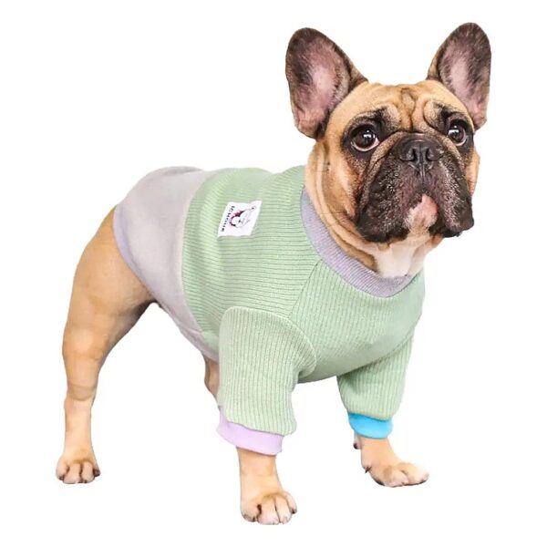 Unique Green and Grey Color Block Dog Sweater for Winter Warmth