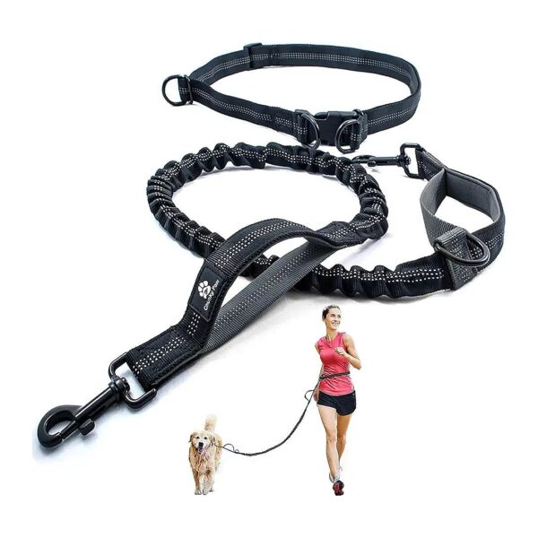 Unique Grey Nylon Hands Free Dog Leash for Running and Hiking