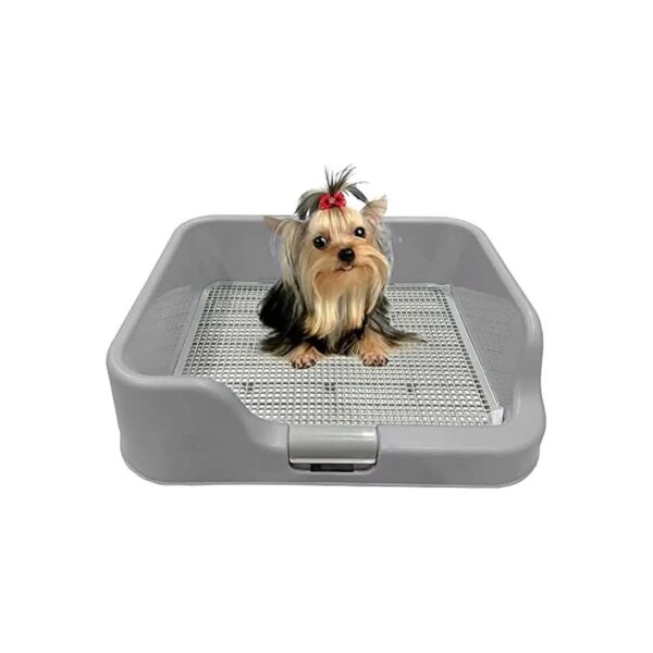 Unique Indoor Dog Potty Tray for Modern Canine Care, Grey, 22L x 12W x 5H