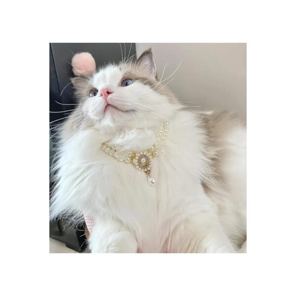 Unique Personalized Cat Costumes Pearl Pet Necklaces Girl Dog Accessories