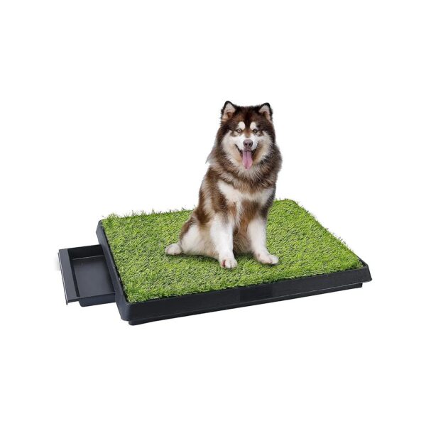 Unique Three-Layer Design Dog Relief System, 25x20inch Large Grass Pee Pad with Drawer