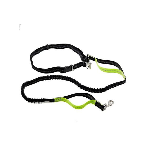 Universal Dog Running Waist Harness with Adjustable Belt and Double Bungee Design