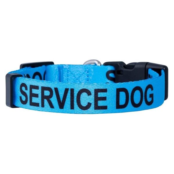 Upgraded Adjustable Collars for Small to Large Dogs with Blue Polyester Material