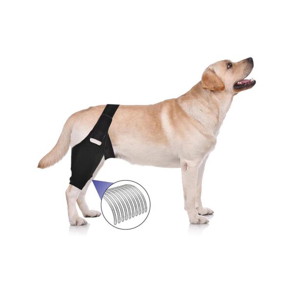 Upgraded Dog Knee Support for Torn ACL Leg Braces with Cruciate Ligament Injury Treatment