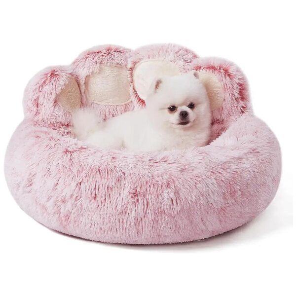 Upgraded Paw Dog Bed with Standing Paws for Small Dogs