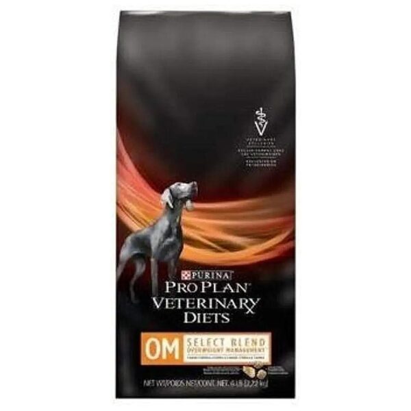 Vegetarian Dry Dog Food for Weight Loss and Hunger Control