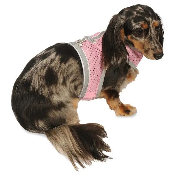 Velcro Closure Mesh Harness with Reflective Trim for Small and Teacup Dogs