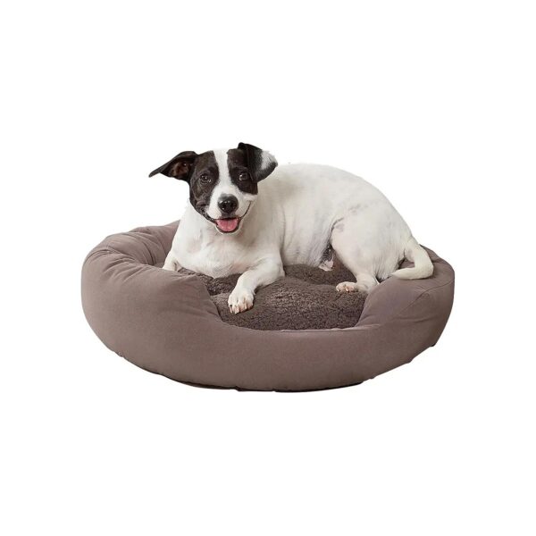 Velvety Soft Microfiber Donut Dog Bed for Small Dogs with Center Pillow