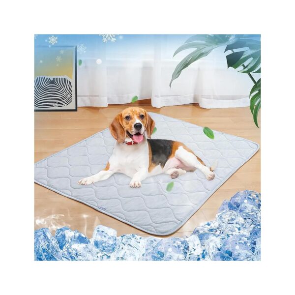 Versatile Soft and Cooling Dog Blanket 32x44IN for All Seasons