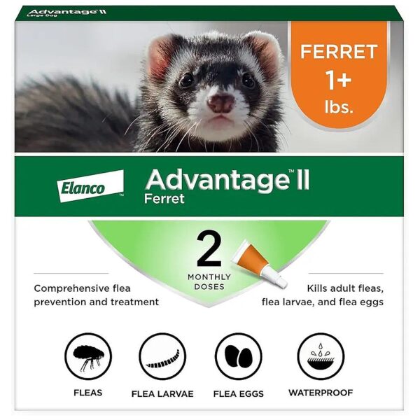 Vet-Recommended Ferret Flea Prevention and Treatment, 2-Month Supply for Small Ferrets