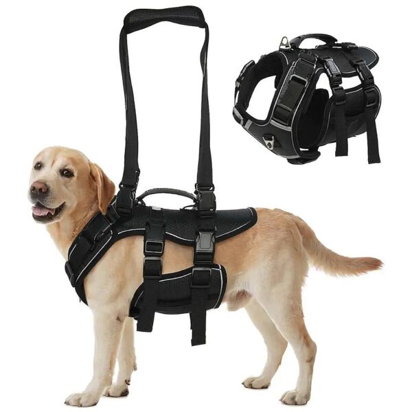 Veterinarian Approved Sling Harness for Elderly Dogs with Hip or Back Issues