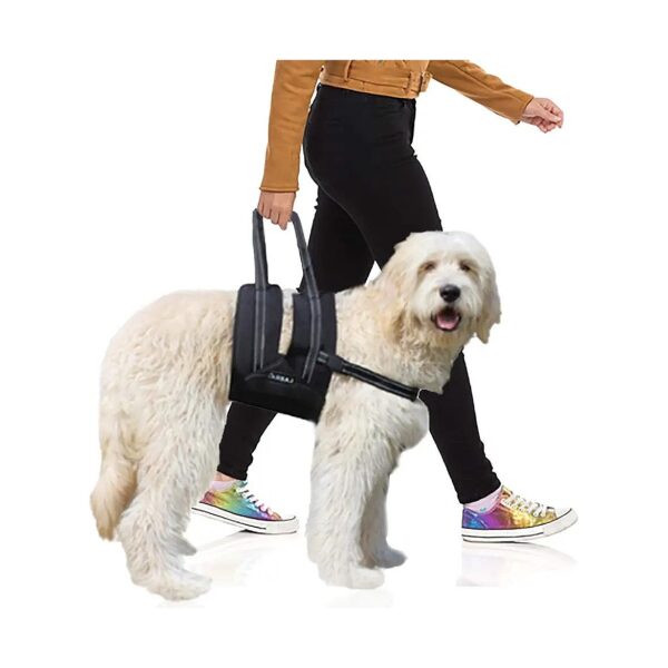 Veterinarian Approved XXL Dog Sling with Chest Strap for Large Breeds