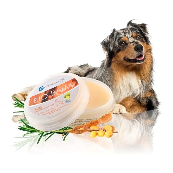 Veterinarian-Approved Dog Paw Balm for Dry Cracked Skin Relief Soothing Moisturizer