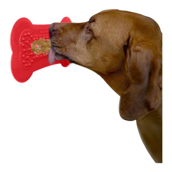 Veterinarian-Recommended Dog Bath Accessories with Lick Lick Pad