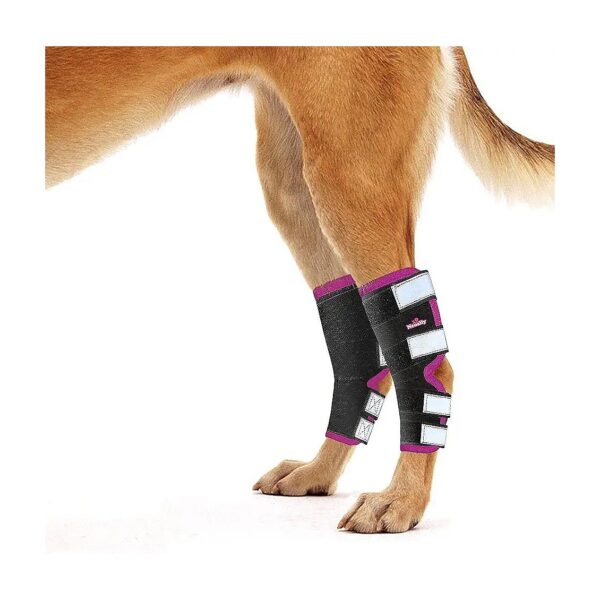 Veterinarian-Recommended Dog Rear Leg Braces for Ankle and Hock Support