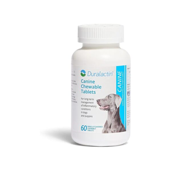 Veterinary-Supported Joint Health Supplement for Dogs