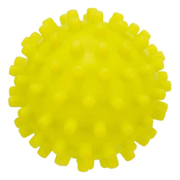 Vinyl Spikey Ball with Sound for Canine Play