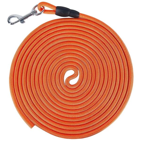 Vivifying 32ft Floating Dog Leash for Outdoor Training and Recreation