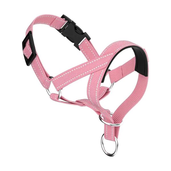 Walk Your Dog Safely with This Reflective Head Collar featuring Interactive Nylon Straps