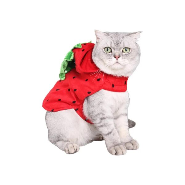 Warm Red Strawberry Hoody Christmas Coat with Green Leaf Hat for Cats and Small Dogs