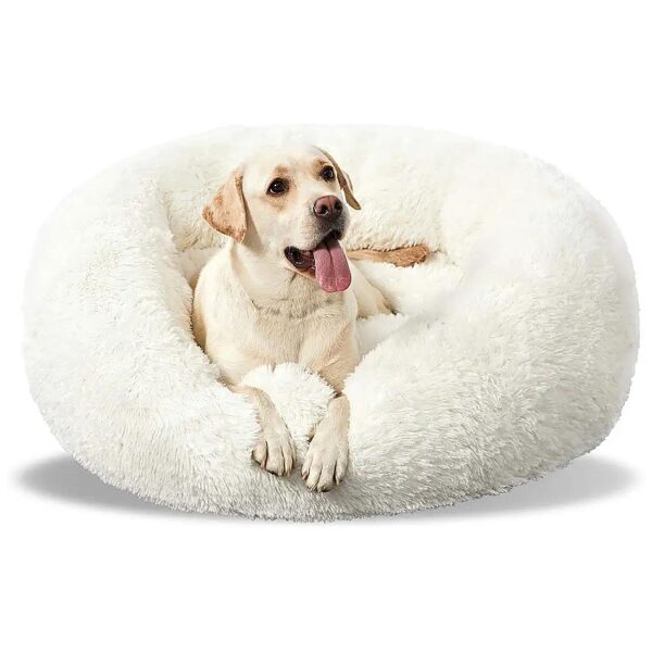 Washable and Dirt-Repellent Dog Bed for Large Dogs with Medium Coat Breeds