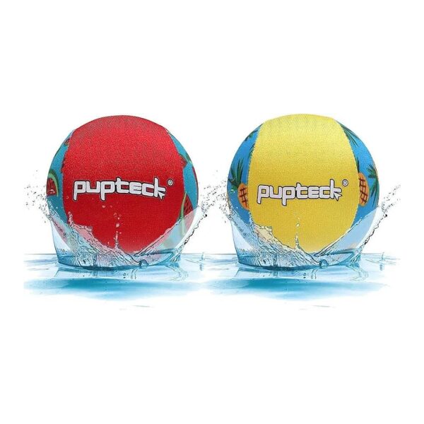 Water Bouncing and Fetch Balls for Summer Playtime with Your Dog