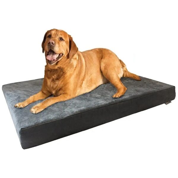 Water Resistant Orthopedic Memory Foam Dog Bed with Machine Washable Cover for Large Pets