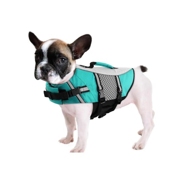 Water-Friendly Dog Life Preserver for Small Dogs with Adjustable Chest and Neck Buckles