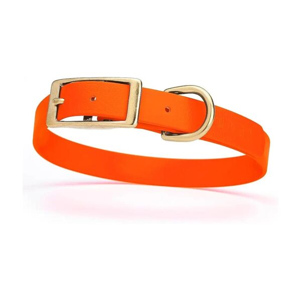 Water-Repellent Dog Collar with Sturdy D-Ring and Solid Brass Hardware for Easy Care