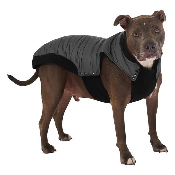 Water-Resistant Padded Puffer Jacket for Small to Large Dogs with Adjustable Leash Slip