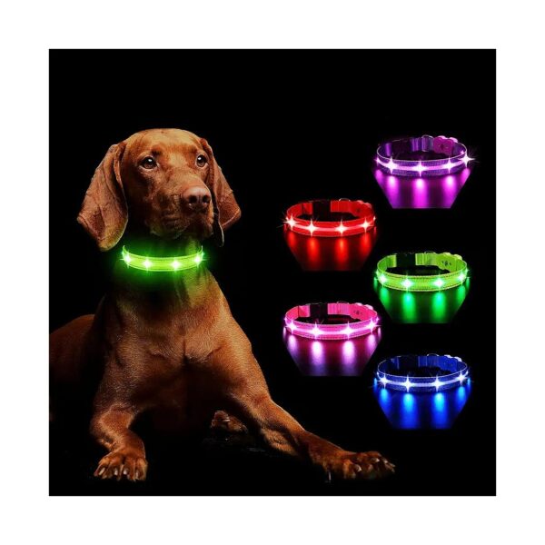 Water-Resistant Rechargeable Glowing Dog Collar for Night Walking and Camping