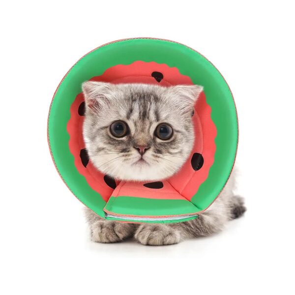 Watermelon Print Soft Recovery Collar Adjustable Comfortable Dog Cone for Small Dogs