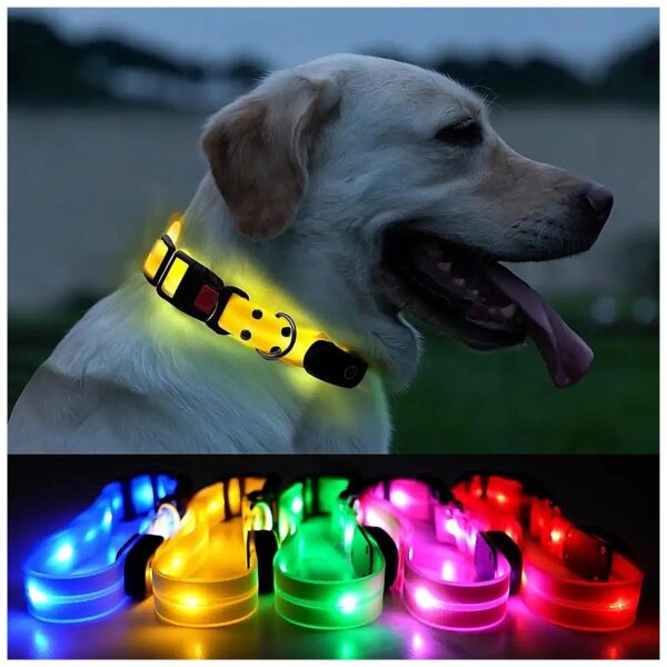 Waterproof Adjustable LED Dog Collar for Night Walking Medium Dogs Yellow