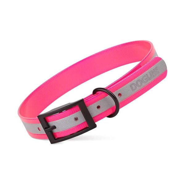 Waterproof Collar for Dogs with Strong Coated Nylon Webbing and Black Hardware