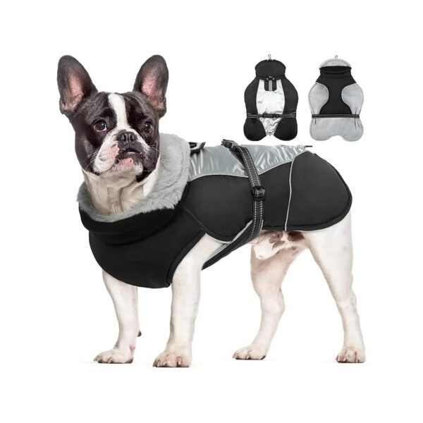 Waterproof Dog Coat for Small to Large Dogs - Adjustable Nylon Buckle and High Collar