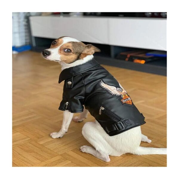 Waterproof Dog Coat with Cool Animal Embroidery Patch for Small to Medium Sized Dogs